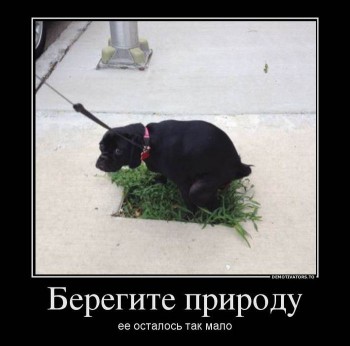 срёсобак.jpg