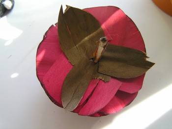 Там была еще веточка, но ее сгрызли :)