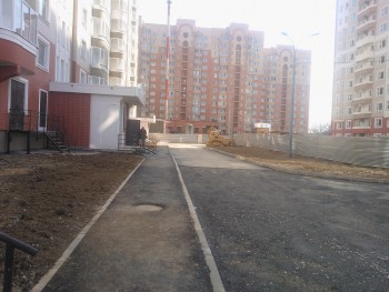 WP_000291.jpg