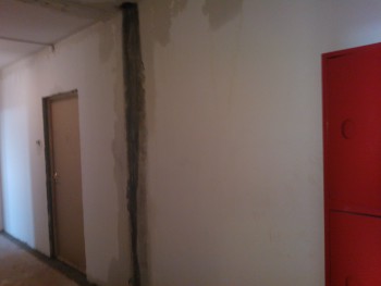 WP_000307.jpg