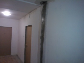 WP_000303.jpg