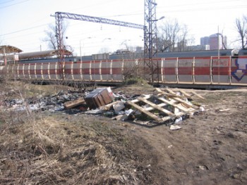 231906.jpg