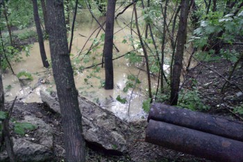 Гнилые и ржавые старые трубы вместе с бетонными плитами, что достали из земли - свалили тут же, в лесу -