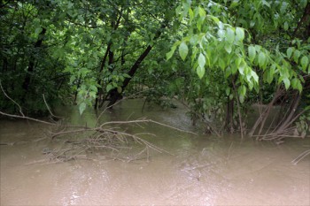 В какой-то момент труба, заваренная некачественно - пошла по шву. Результат - кубометры, тонны воды устремились в лес -