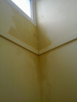 20130525_008.jpg