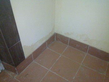 20130525_017.jpg
