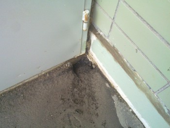 20130525_006.jpg