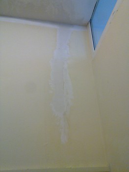 20130528_020.jpg