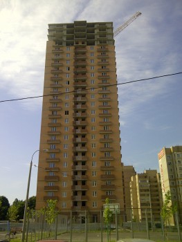 IMG-20130614-01008.jpg