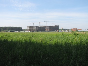 весенний 1.jpeg