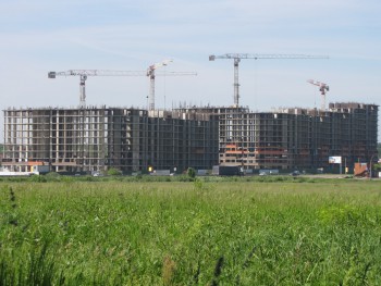 весенний 2.jpeg