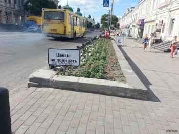 неполивать.jpg