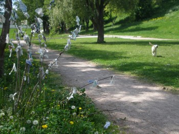 Дерево желаний