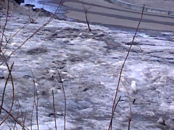 25032010_002.jpg