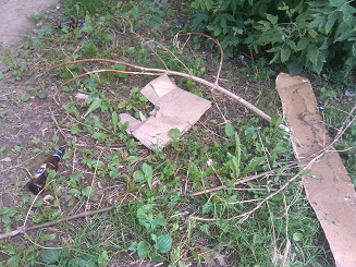 мусор и стрижка.jpg