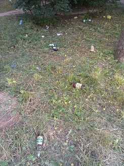 подстричь и намусорить.jpg