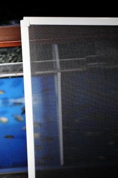 net_divider1.jpg