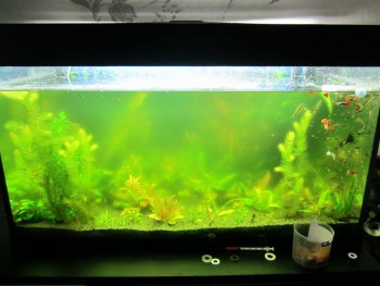 IMG_1882 (1024x768).jpg