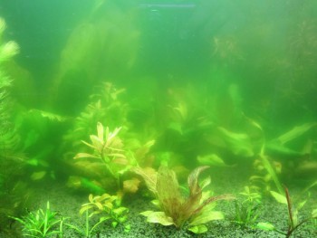 IMG_1883 (1024x768).jpg