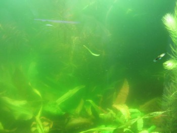 IMG_1884 (1024x768).jpg