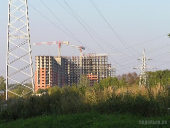 8817.jpg
