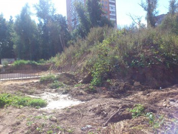 DSC_0482 — копия.jpg