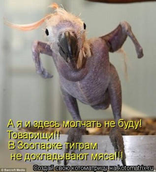 441803.jpg