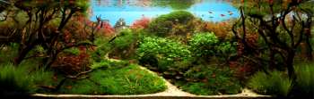 No10Aquascape_zps0764e486.png