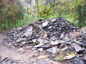 раскрошенный асфальт сваливают тут же, под корни кленов