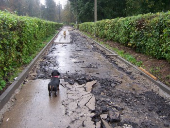 губернаторская программа наше подмосковье в Подольске в действии -