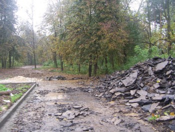 вывалили асфальт в лесу.jpg