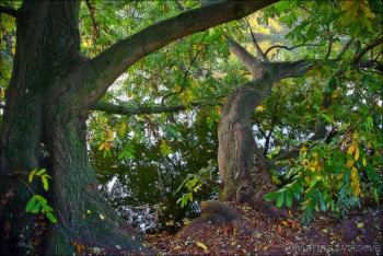 булонский лес Париж