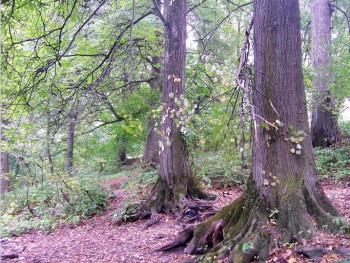 ландшафтный парк Пахры