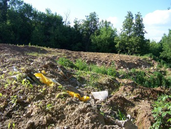 СТРОИТЕЛЬНАЯ ГЛИНА И СТРОИТЕЛЬНЫЙ ШЛАМ - В ГОРОДСКОМ ЛЕСУ ПОДОЛЬСКА СВАЛЕНЫ ЗДЕСЬ НЕЗАКОННО И ДО СИХ ПОР НЕ ВЫВОЗЯТСЯ, ХОТЯ ВСЕ ПРЕДПИСАНИЯ "УБРАТЬ СТРОИТЕЛЬНЫЙ МУСОР И ГЛИНУ" ВЛАСТЯМИ СТРОИТЕЛЯМ ВЫДАНЫ УЖЕ ГОД КАК!