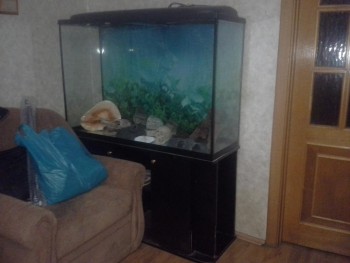 20131029_234931.jpg