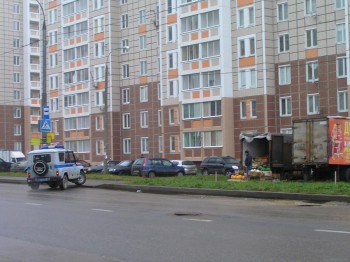 PB031505.JPG