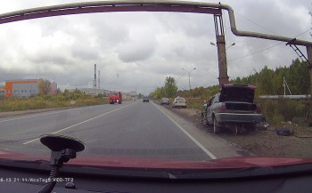 Найди кота.jpg