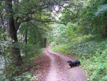 БЕРЕГ пАХРЫ.jpg