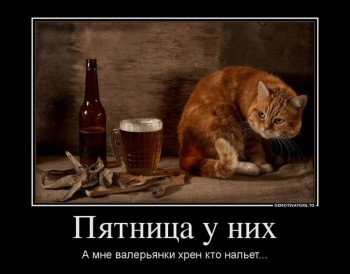 Qq3lpOEKmIo.jpg