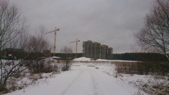 DSC_1674.jpg