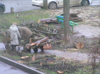 Бабка с дедом пришли по дрова