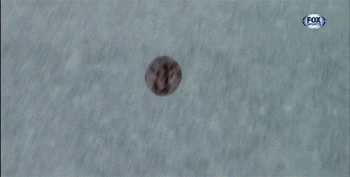1386609580-4eba7c088cf77058bcd717040f6b7ce8.gif