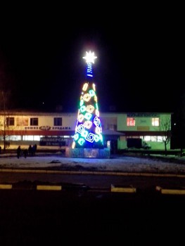 Ёлка щапово.jpg